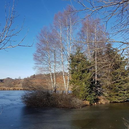 Fermette Typique Auvergnate Dans Son Ecrin D'Eau Et De Verdure 세인트도나트 외부 사진