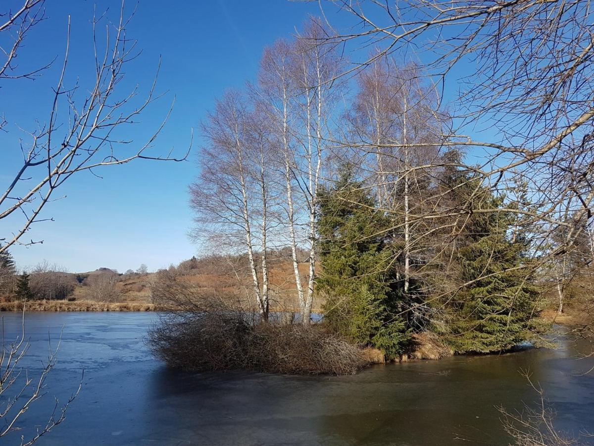 Fermette Typique Auvergnate Dans Son Ecrin D'Eau Et De Verdure 세인트도나트 외부 사진